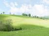 Rolling Hills