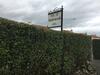 Ingleneuk Bed And Breakfast