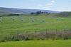 Agroturismo Sireksstadir Farm Holiday