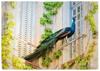 Bed & Breakfast Le Relais Du Doubs En Bourgogne