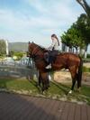 Apartamento Ariadnes Holiday Accommodation II