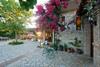 Hostal Bacchus
