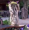Aparthotel Aneton