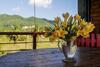 Hostal La Calypso Guesthouse