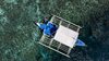 Hotel Quo Vadis Dive Resort