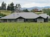 Stonehaven Homestay B&B