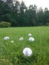 Hotel Eco Niebor�w
