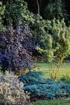 Hotel Eco Niebor�w