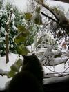 Pod Dobrym ?r�d?em