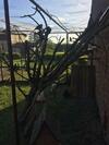 Apartamento Dworek W ?arnowcu