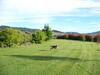 Longbourne Lodge Motel
