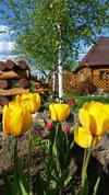 Hotel Baza Otdikha Vatzy