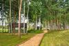 Campground Zavidovo