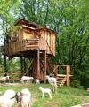 Hostal Chalets Toplak