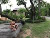 Hotel Baan Suan Rim Nam