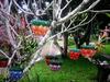 Baansuan Nanglae Hill Homestay