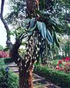 Hotel Khaoyai Nature Retreat