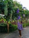 Hotel Khaoyai Nature Retreat