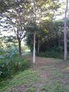 Hotel Khaoyai Nature Retreat
