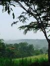Hotel Khaoyai Nature Retreat