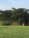 Hotel Khaoyai Nature Retreat