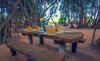Hotel Ranweli Holiday Village