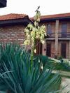 Apartamento Loft Garden