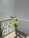 Hostal Iason Hotel