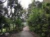 Shan Hu Lian Homestay