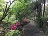 Shan Hu Lian Homestay