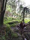 Shan Hu Lian Homestay