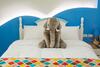 Childlike B&B