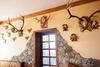 Hostal Polychka Winehouse