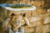 Posada The Collector Inn (adults Only) - Saint Augustine