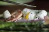 Bed & Breakfast The House At Seven Oaks