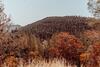 Lodge Lakeview Terrace Resort
