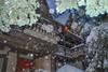 Hyak Duplex Cabin