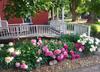 Bed & Breakfast Bross Hotel B & B