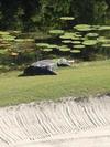 Apartamento St. James Bay Golf Club