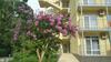 Wellness Park Hotel Gagra All-inclusive