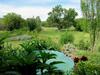 Bluegum Cottage B&B And Self Catering