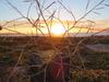 Apartamento Nautilus Self Catering Accommodation