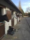 Bed & Breakfast Les Pr�mices De La For�t