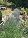 Bed & Breakfast La B�tisse Chambres D'h�tes