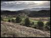 Domaine Calmel & Joseph