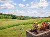 Spacious Holiday Home In Montcabrier With Garden