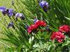 Bed & Breakfast Les Jardins De La Grange