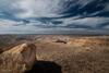Desert Picture