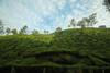 Hotel Casa Montana Munnar