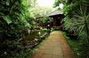 Hotel The Tree House Resort